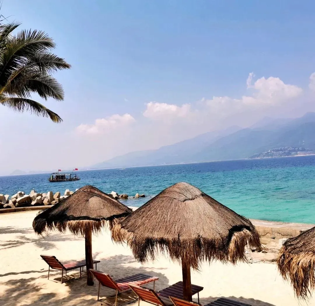 7ee4b625f84be441b7381ce9db1b956f-sz_1319677