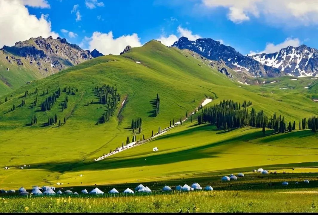 7efc894f597c78314dd06e45584702f0-sz_233044