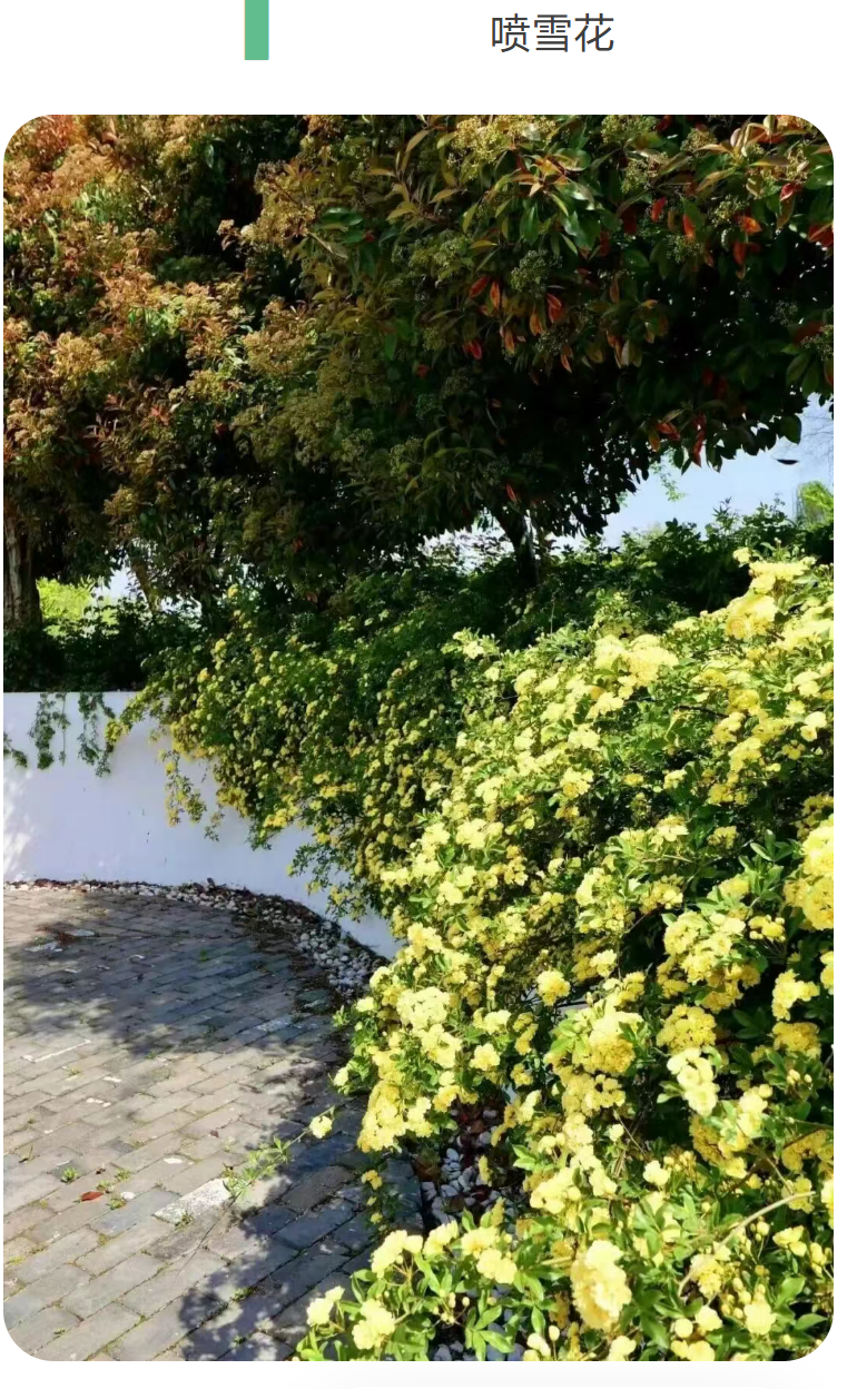 803e10cc18982ea80522c75c4513bf9b