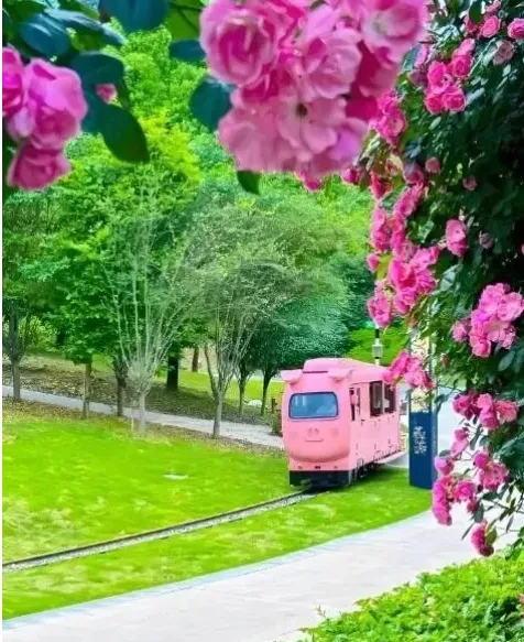 80ad3e63c9eafcedb813abb4690a0f5b-sz_759147