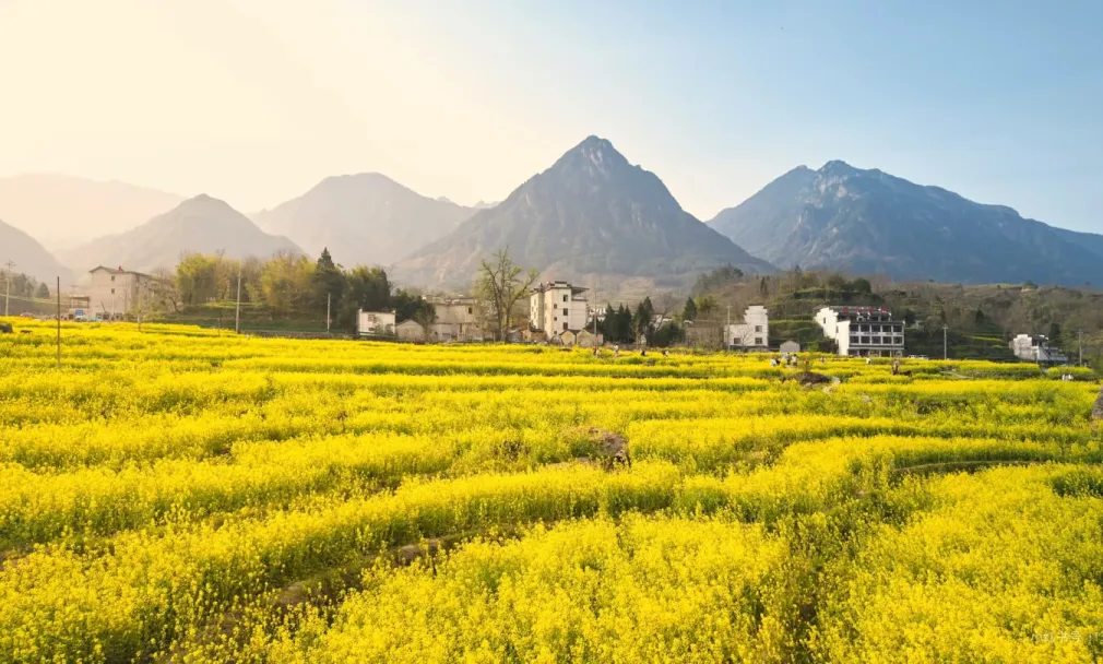 8103dc9b0fc82485e6de1d4d3fad3b25-sz_815476