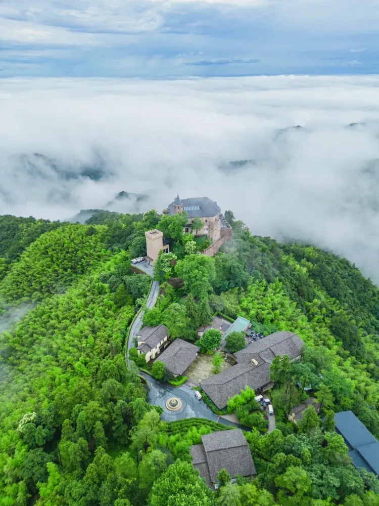 811dbb36d21121d1b2ba97d77e38a925-sz_3155986