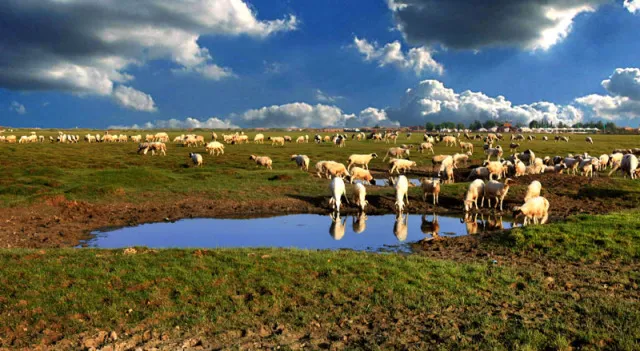 81378cdcd70205ded6087b858e791d75-sz_124002