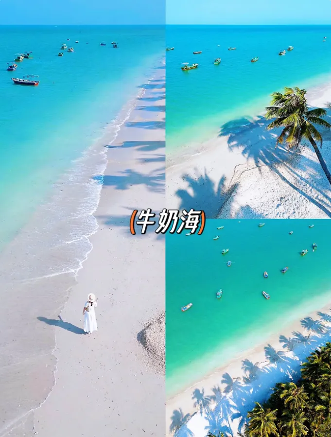 814fd43f3326e0ededd8d27154f12888-sz_804463 814fd43f3326e0ededd8d27154f12888-sz_804463