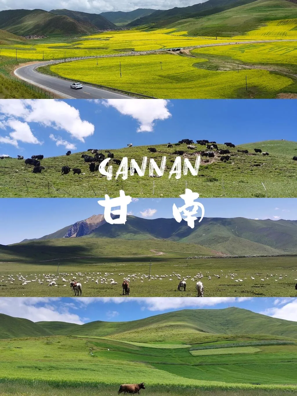 815ee351a501b28dc4504640a122d70d-sz_2378404