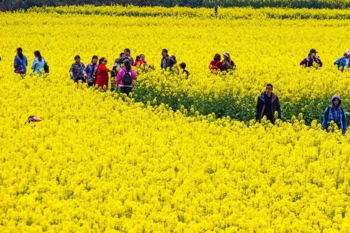 81b719e4f25de7aba460aee97e3a5780-sz_105819