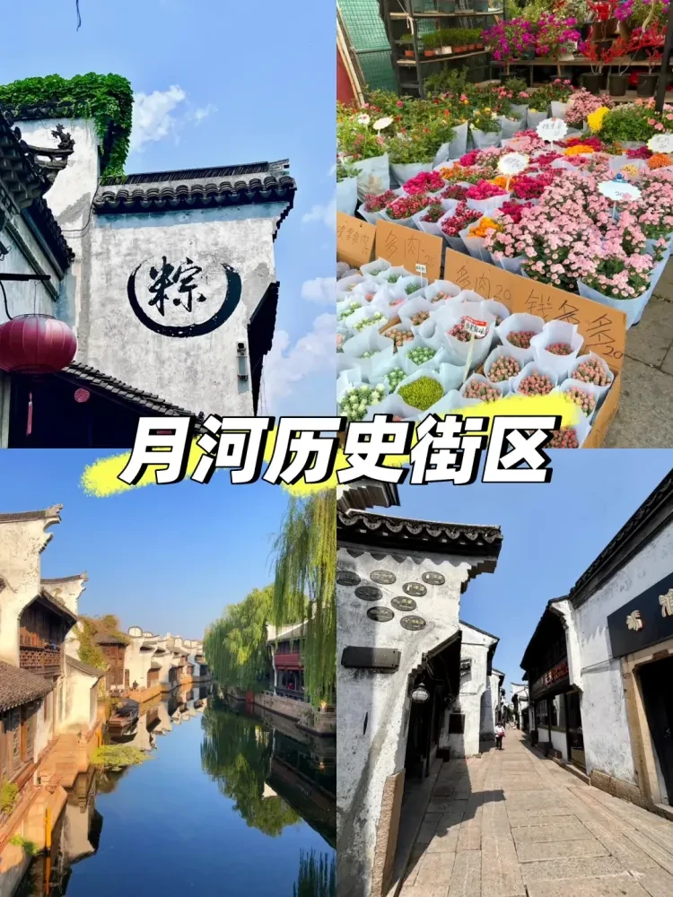 81d7031c9bfe122d4f2b25102bade7e3-sz_3108566