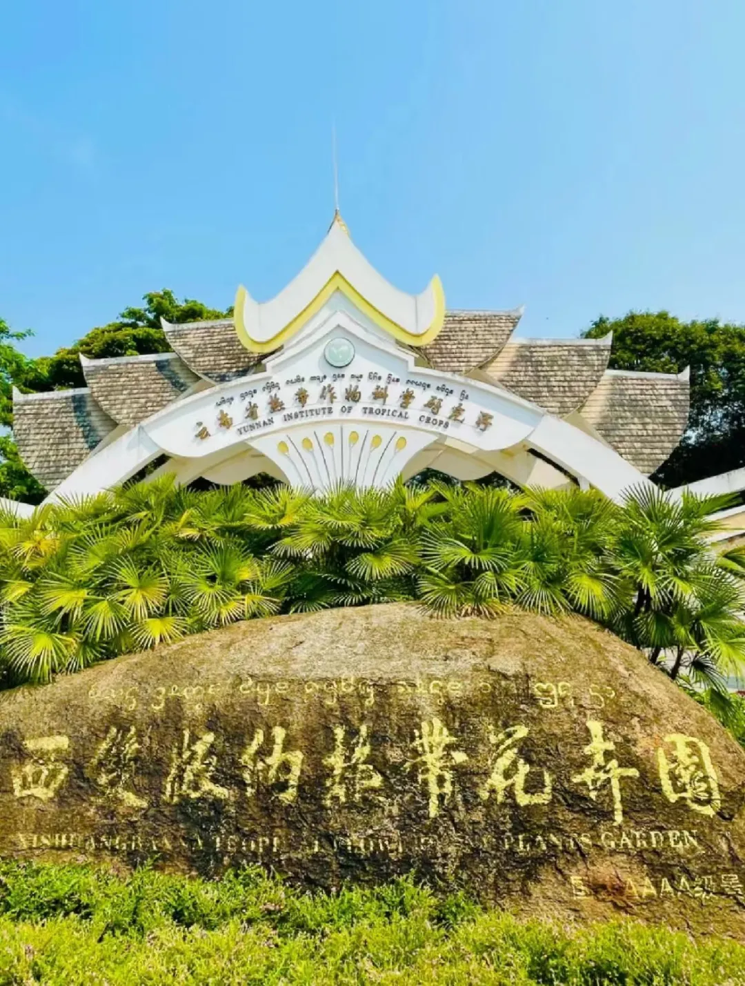 81ecd7031d06f8dec4298b1f3bbb1121-sz_573202