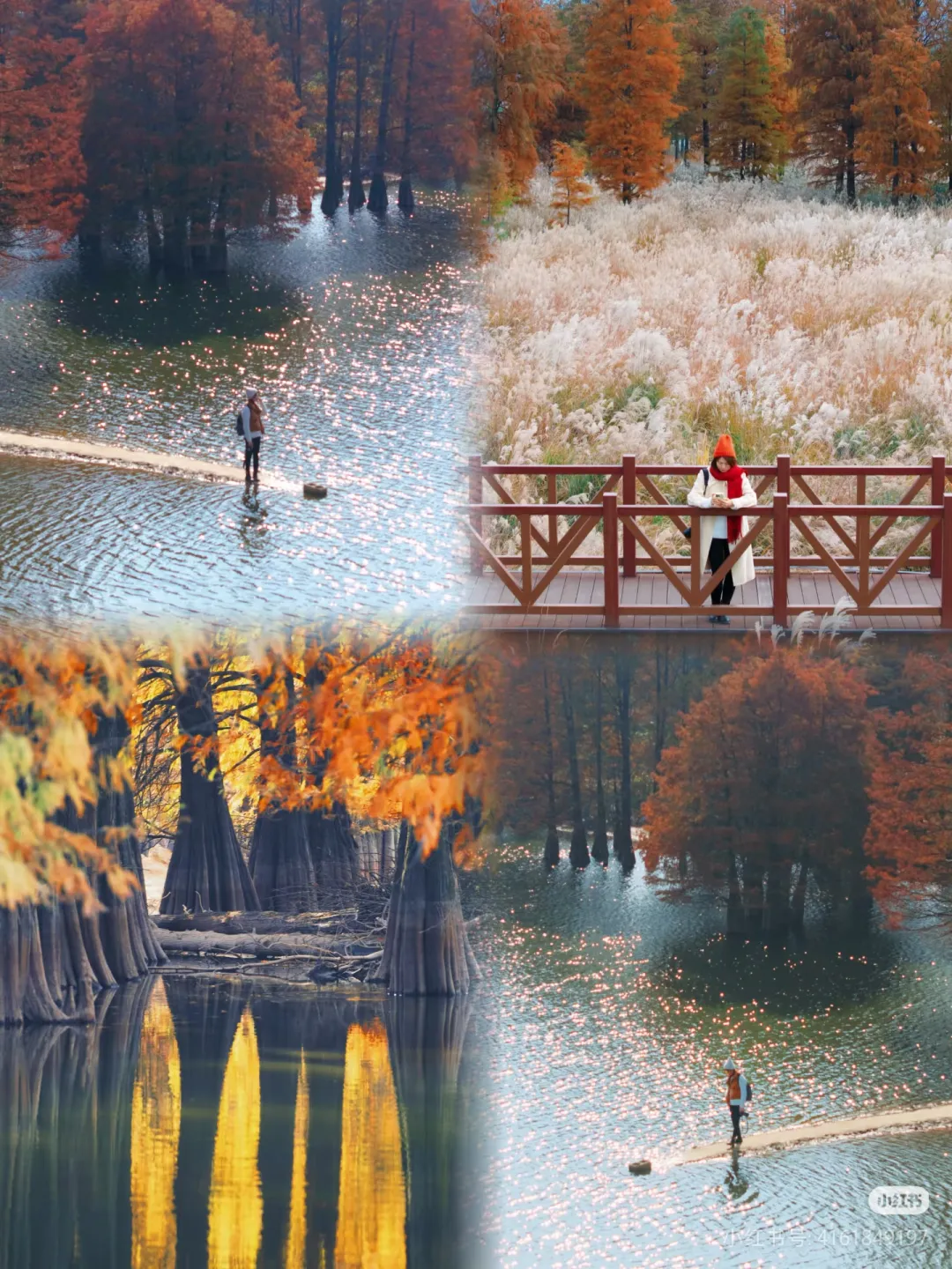 8202c1d2a70c577579e9e9b737c928f7-sz_1902028-1 8202c1d2a70c577579e9e9b737c928f7-sz_1902028-1