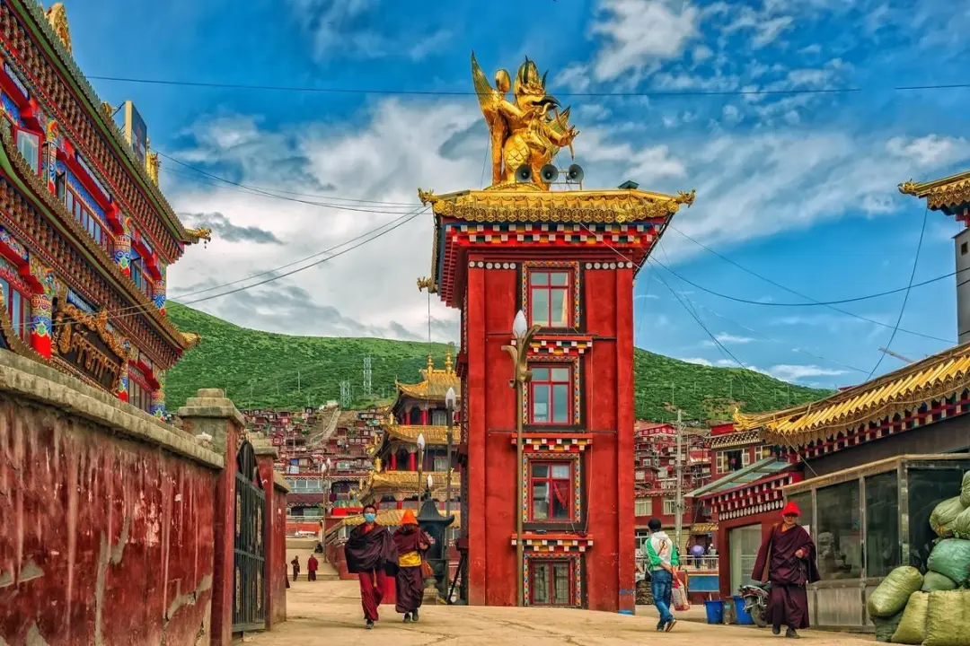 823127c0a066c328e842785d973df916-sz_193259-1