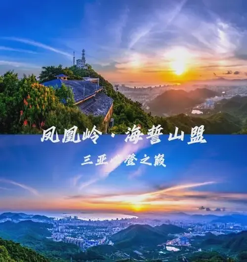 82342b545843b0220f80d74763a8167f-sz_369721