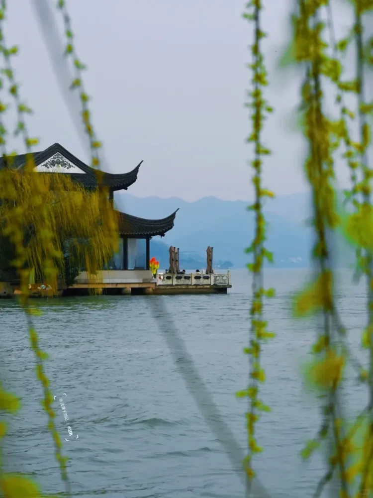 82572e880bcc5ac6c2e01f0f8be4e916-sz_2238611 82572e880bcc5ac6c2e01f0f8be4e916-sz_2238611