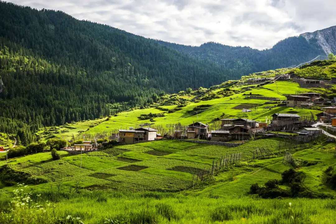 82872fdd6d5aa2636bcba8be5cc5c985-sz_925734