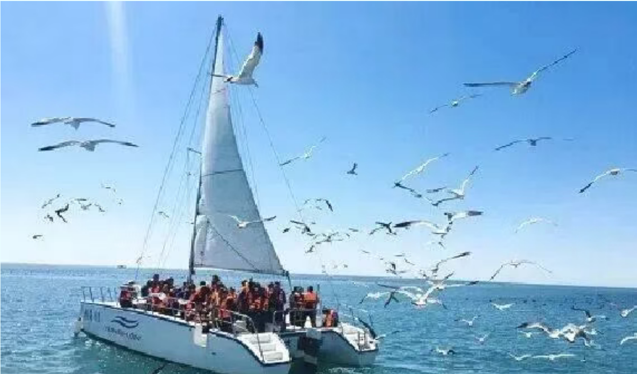 82ce08f14a2a9d4083dec8f2d3689901