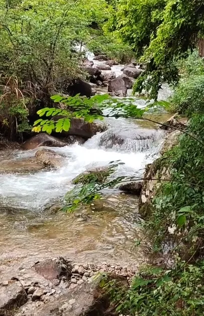 82ea57c35568b23df166589163bb944d-sz_387081