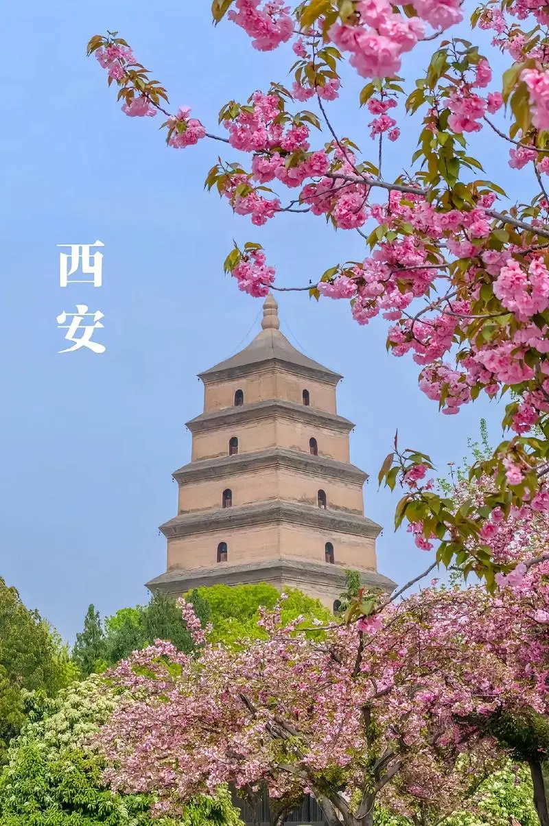 8307ba373409424ff3ec43f8638f1b21-sz_223488-3