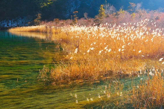 83439d1652245aa789afcfd1526ab703-sz_85676 83439d1652245aa789afcfd1526ab703-sz_85676