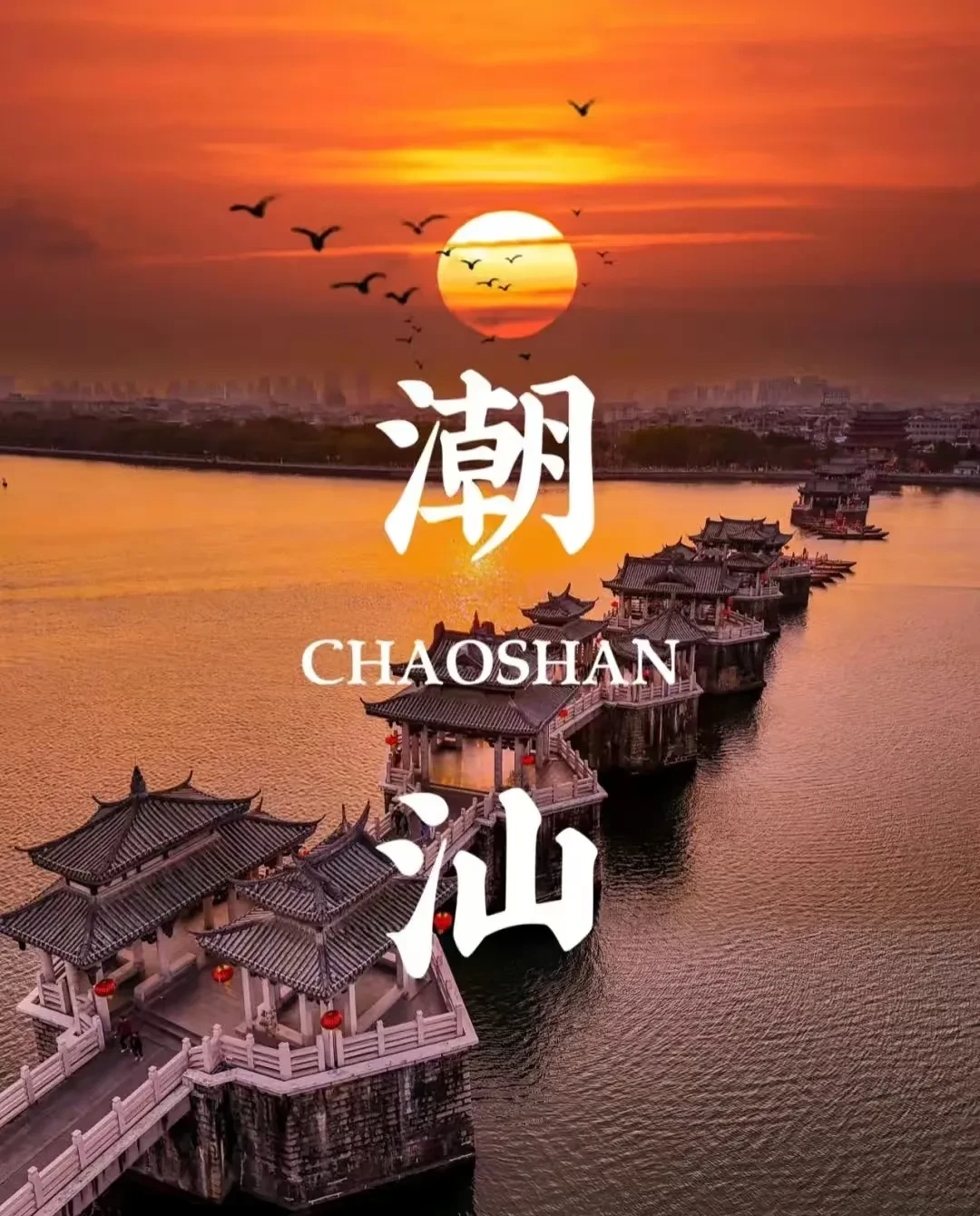 84615320edebf01bdc73b2c7822878aa-sz_875949