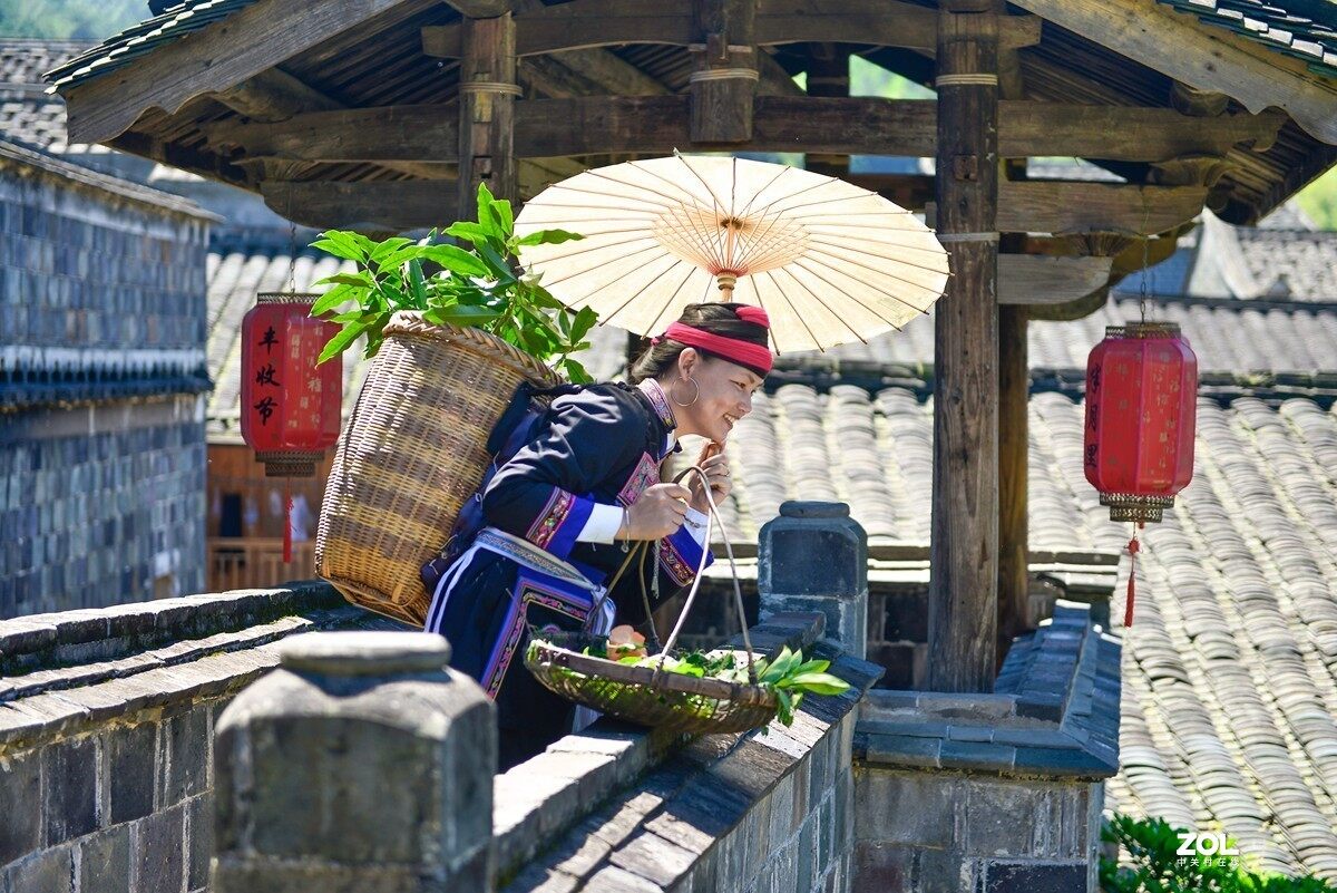 849b4309c23d0504833514b8ef138192-sz_309974