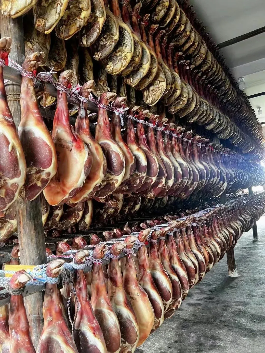 84e49c497644bc2e6fe9105a55c556fd-sz_4151744