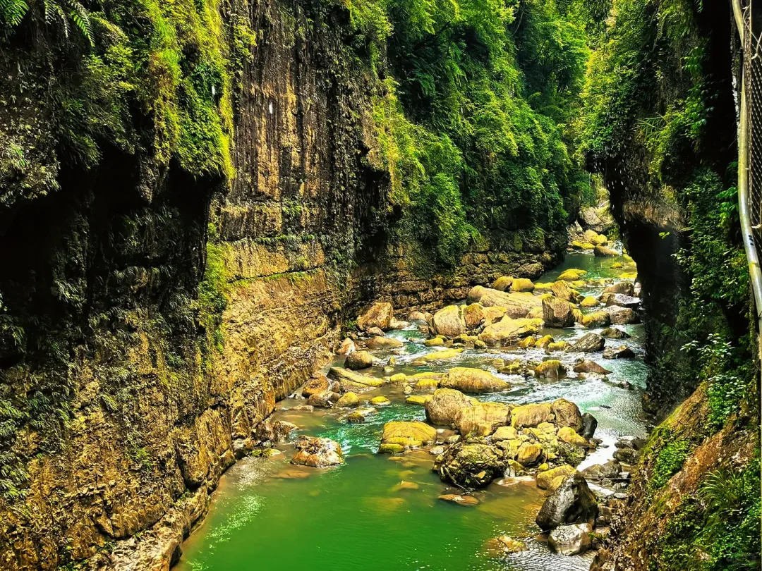 85785e698be1c24570b120a76888953e-sz_3929420