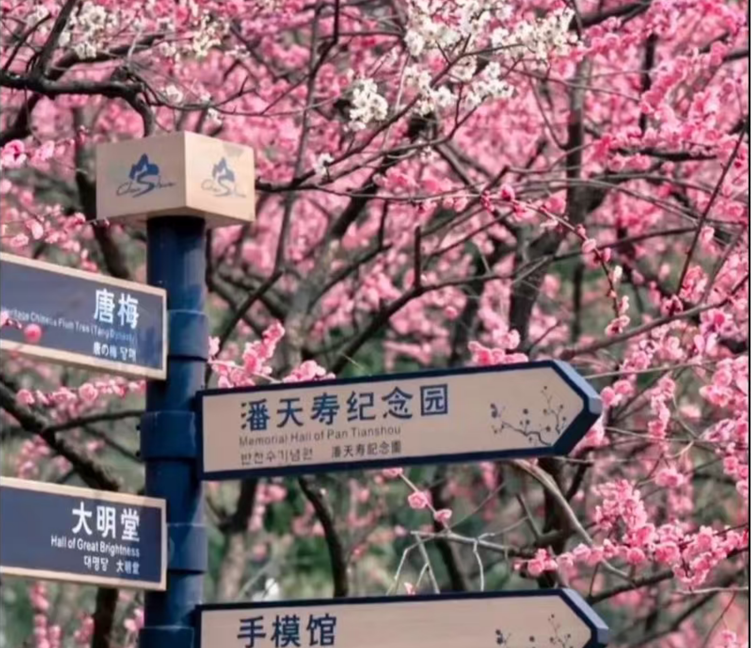 85815bb285690ba64f964f6e86d158dd