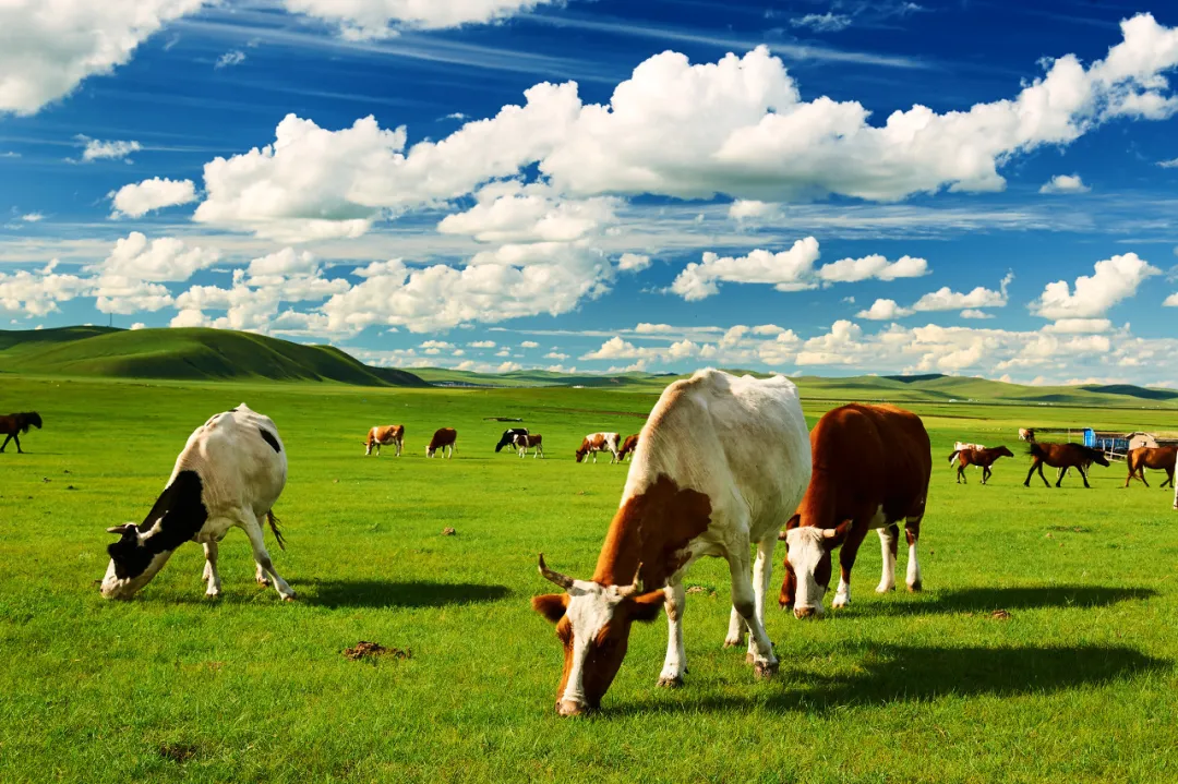【世遗崀山 云上花瑶】崀山・南山・花瑶 双卧7 日深度行