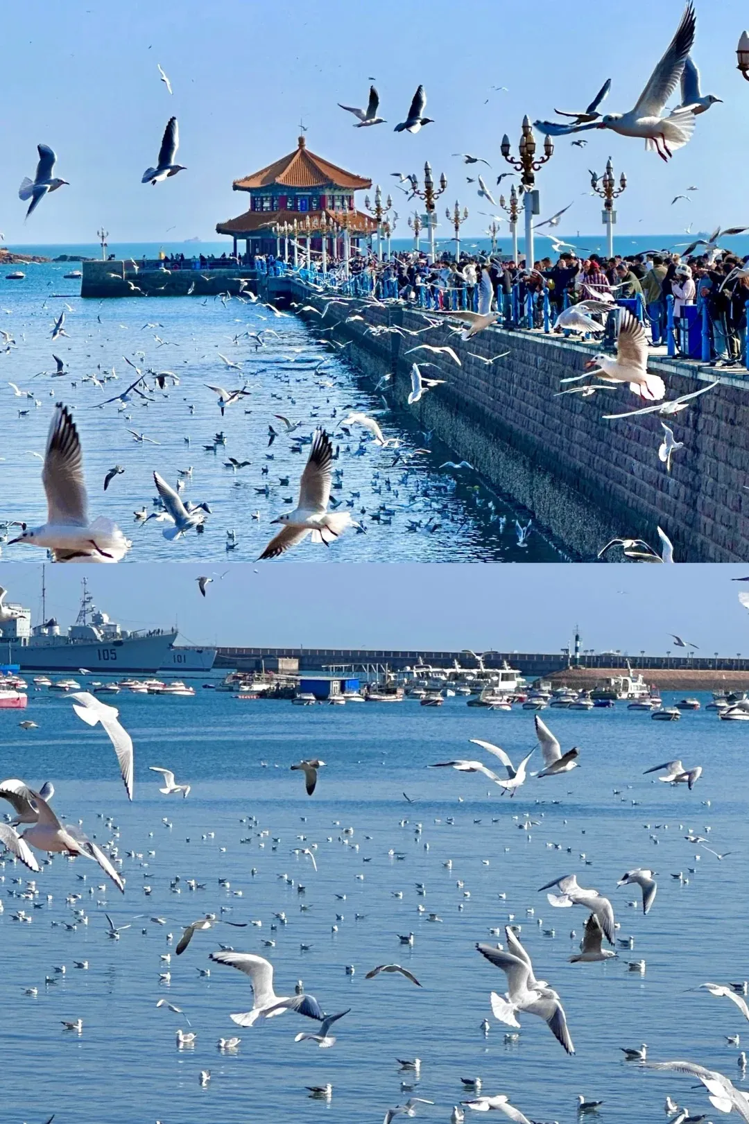 8626b4325696f5cc2d2c173597cf1e9f-sz_521680 8626b4325696f5cc2d2c173597cf1e9f-sz_521680