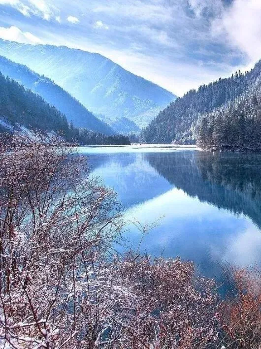 863a8be5e0ffc7a70ba45458eb8d3405-sz_270828