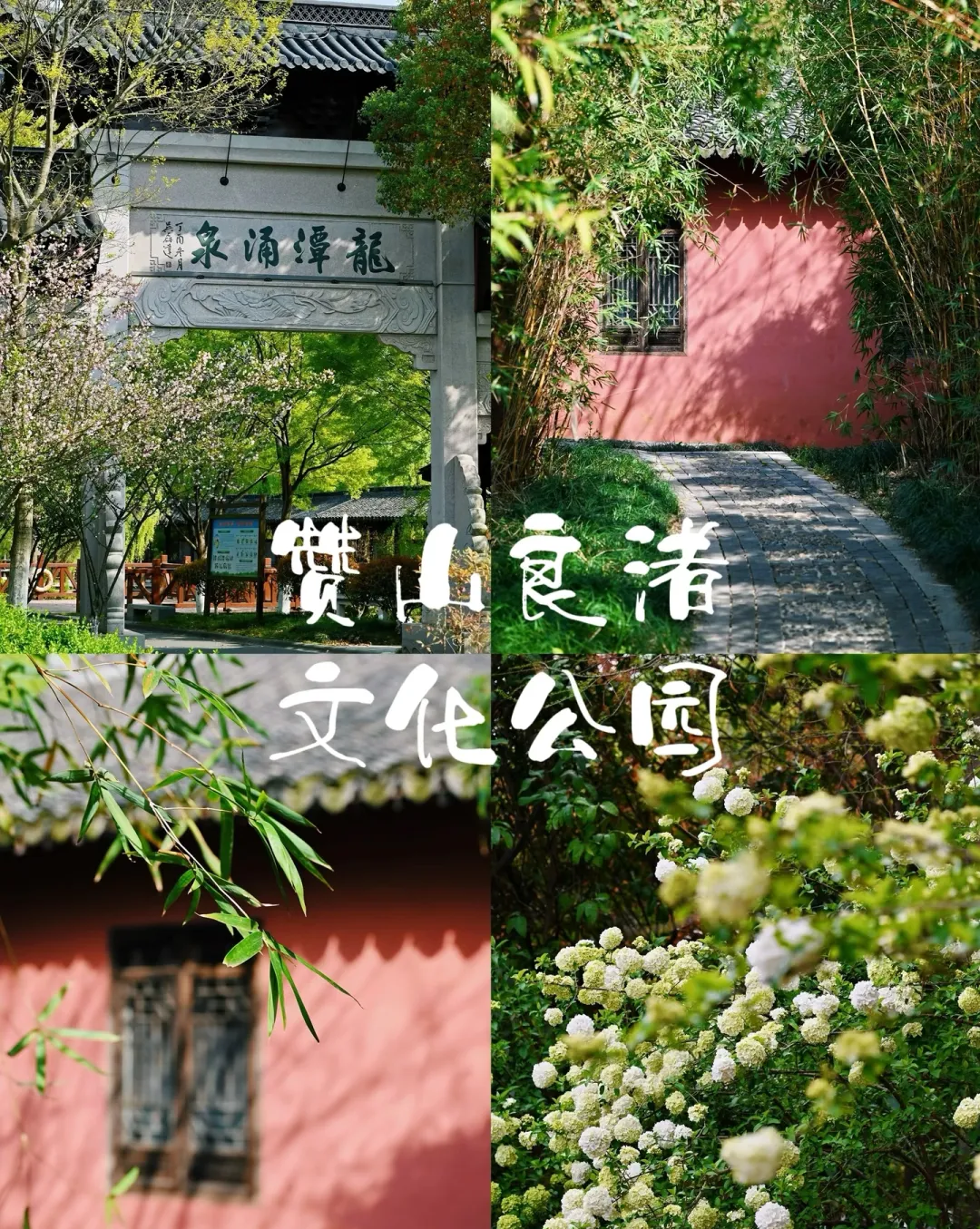 86b124826c164671675db1bb5a9f9052-sz_2323588