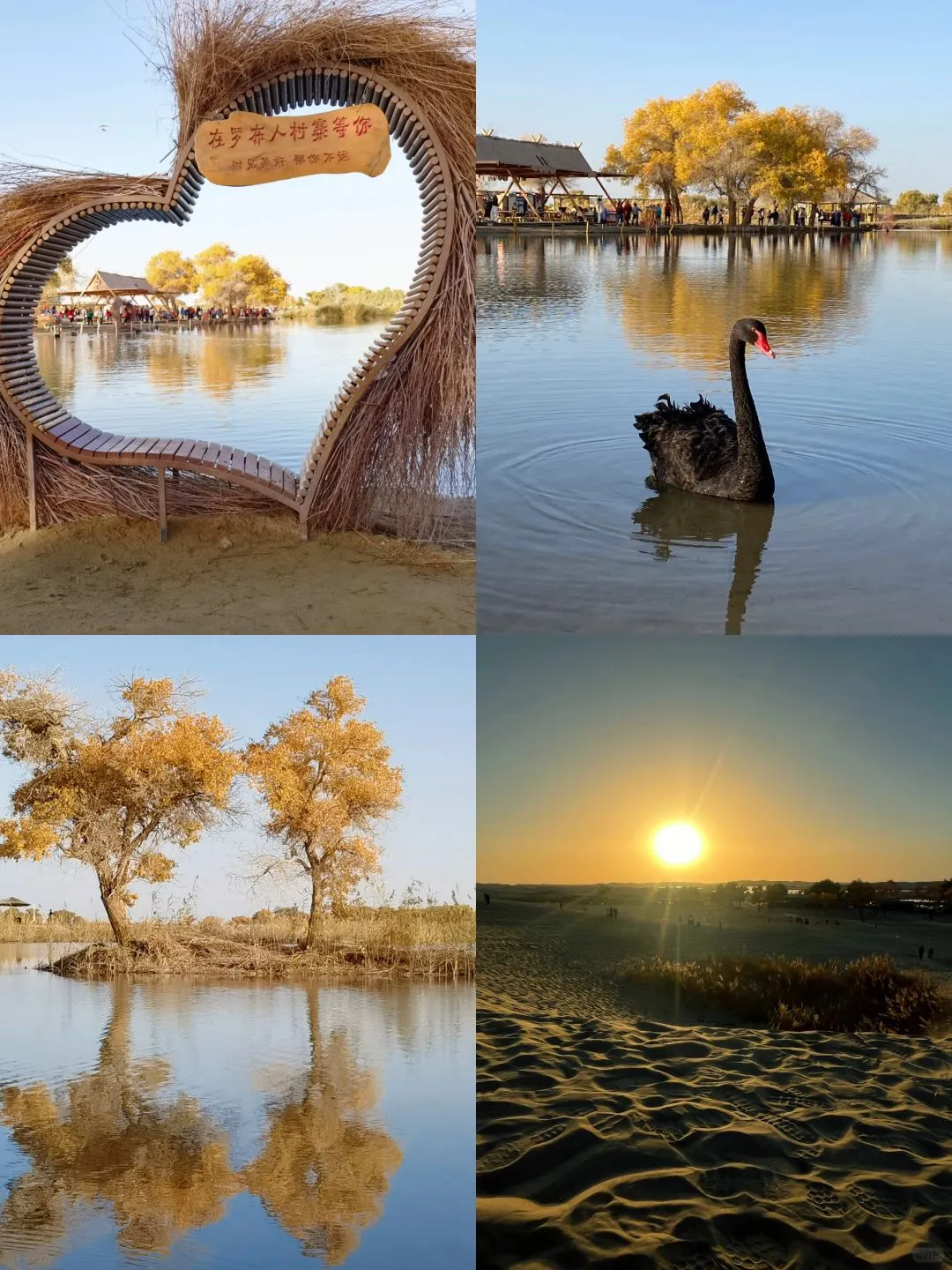 86bbfe4930e6c0a3e3c0bcfbe82ac92e-sz_2511029