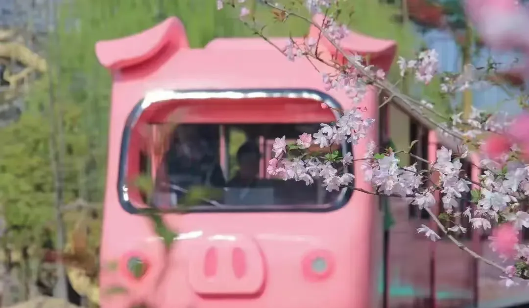 86d4c4e53a62036b29a09ccaa0d2a2ae-sz_351531