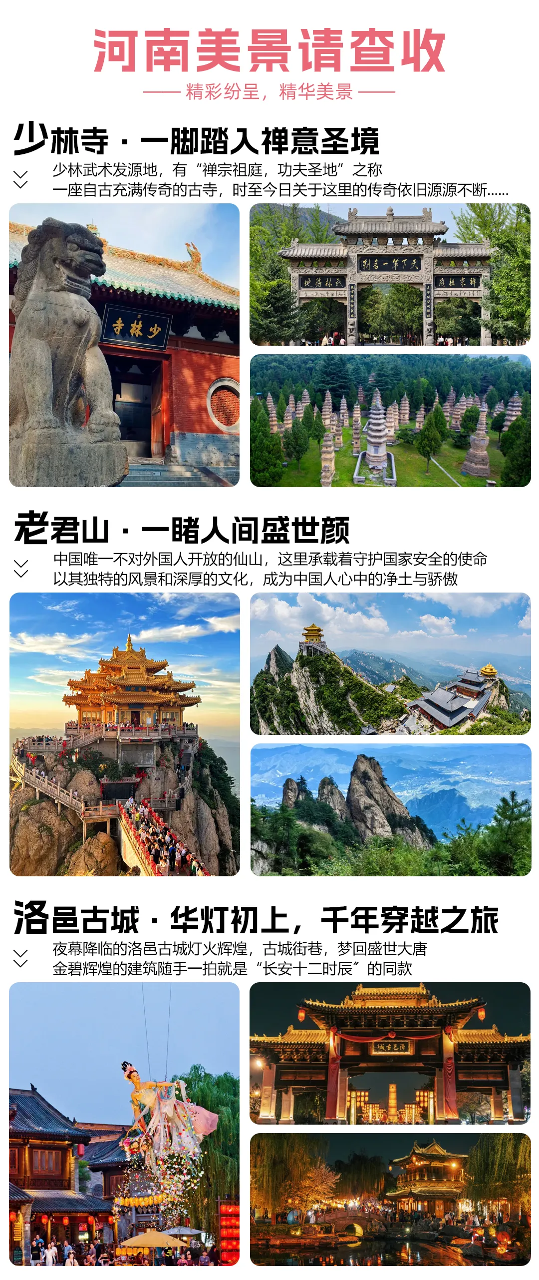 872ae6d966d922d04daf23b1ab0900c9-sz_2259416