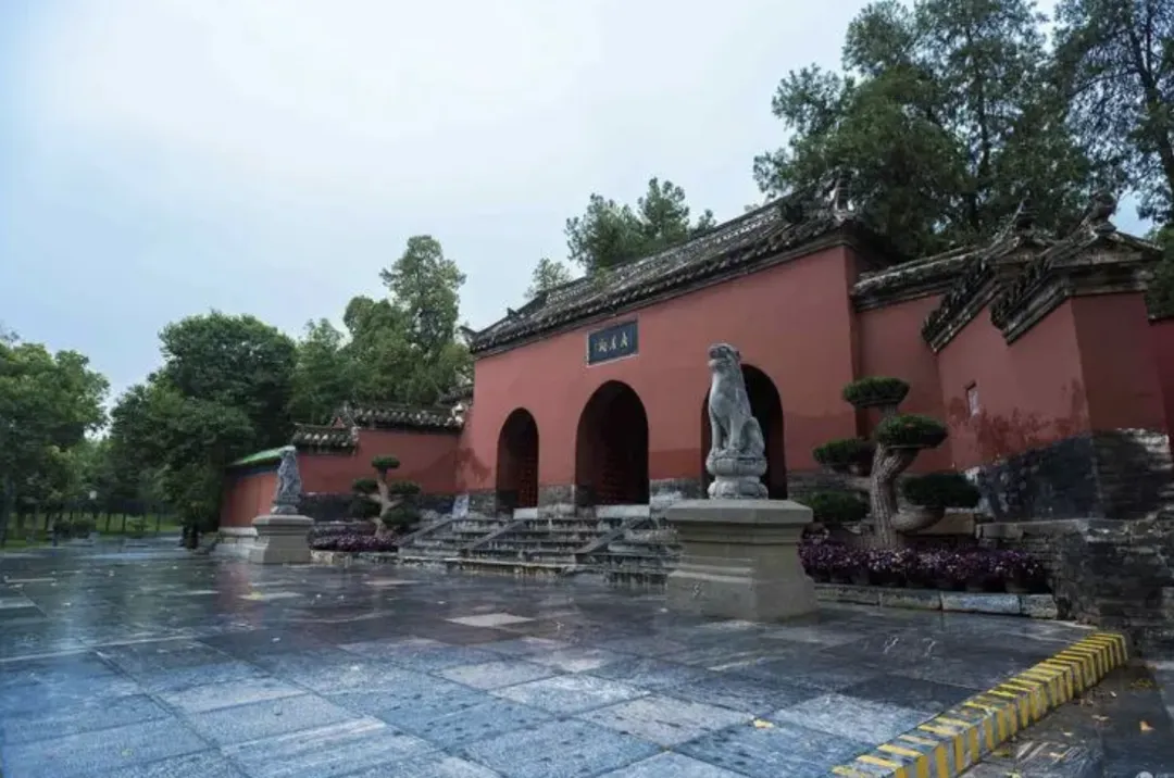 874035266a5d8c7d05c64f5ebeba1f48-sz_1991893-1 874035266a5d8c7d05c64f5ebeba1f48-sz_1991893-1