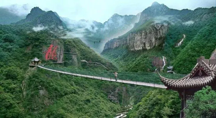 878a7102fde82b353ad021cdf65615db-sz_79936