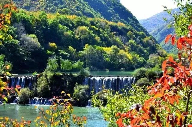 87a78031778972346486d6108ec4b784-sz_156778