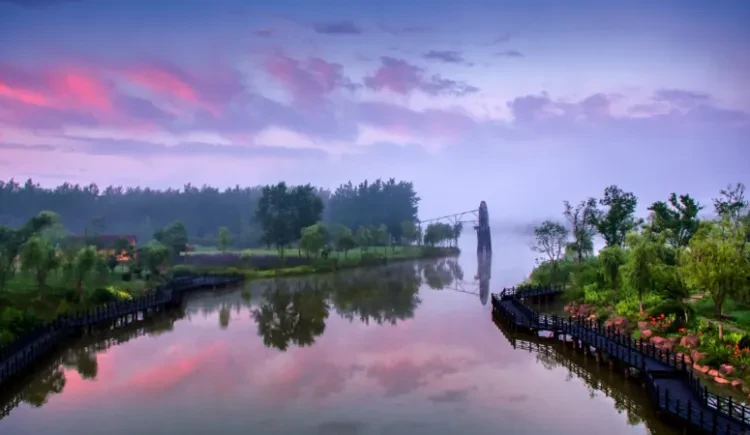 87efc2c991c1e226dd2b0841646a6488-sz_716995