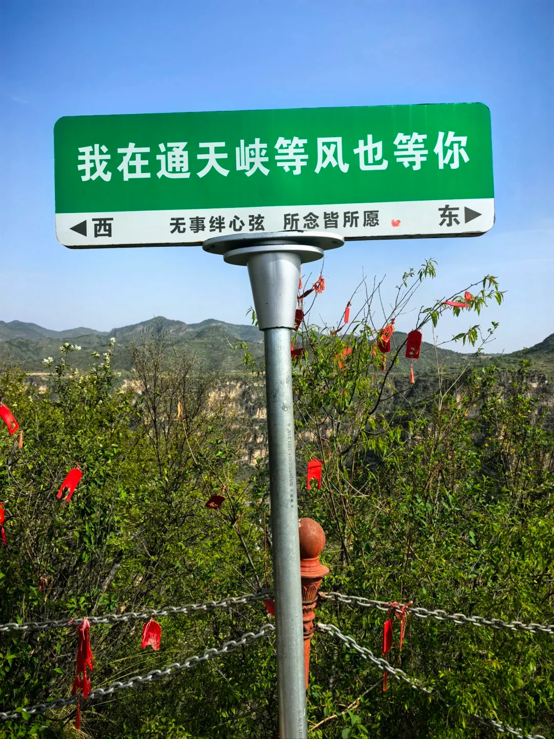 883660292eb55ebcd97fc07cdf7efa43-sz_2461716