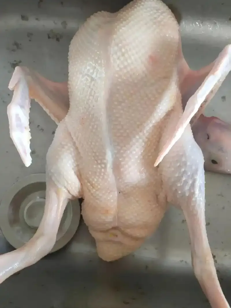 8849fee96a18e9581ecade717f3ec00a-sz_991053