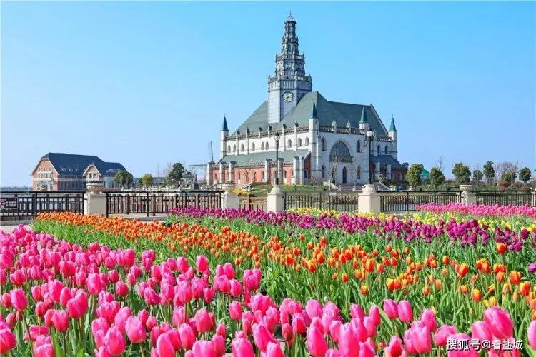 88e99b45c53a5c257e48223b06c80afc-sz_93078