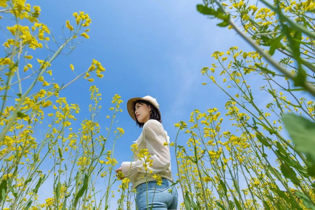 88f794d32978e4dce5110464521825ac-sz_3281491