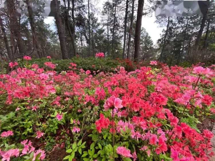 88fa503c7962142beddaa58e6ec59862-sz_231492