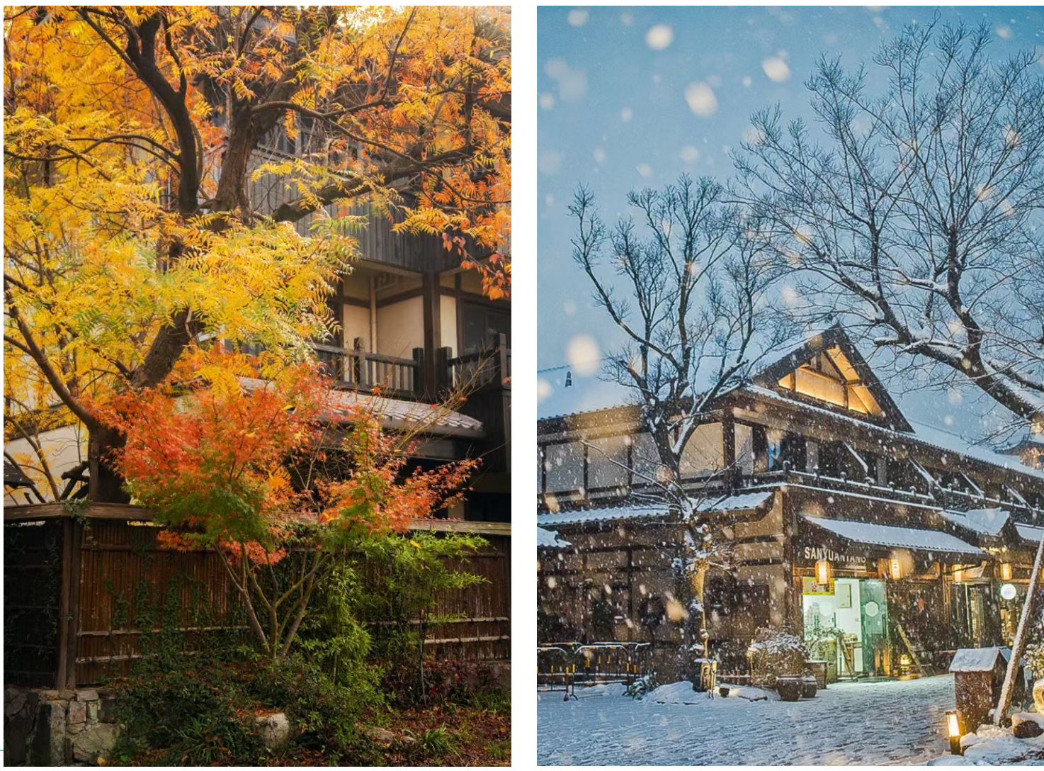 8962862d2ff03d24665e7be50d212ecb