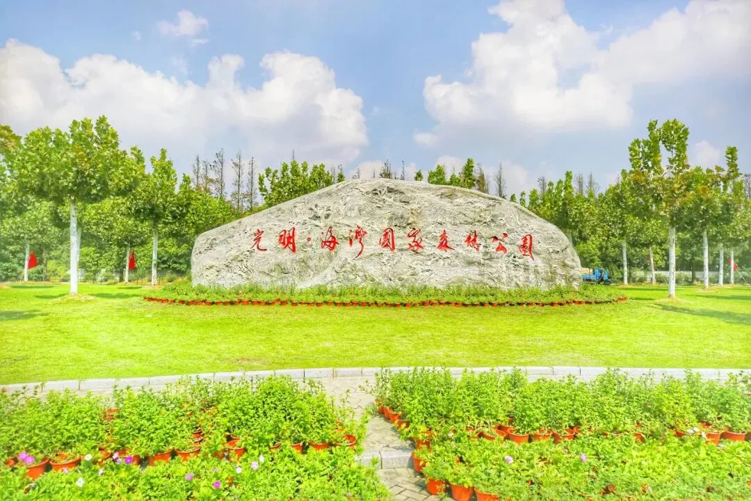 8996f73d42de1607ebc75152404bb24c-sz_190490