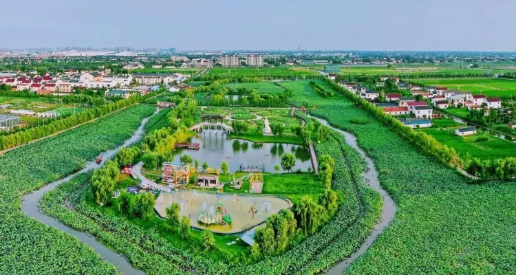 8a2785453bd49d78ef8a07bd686bfff0-sz_197221 8a2785453bd49d78ef8a07bd686bfff0-sz_197221