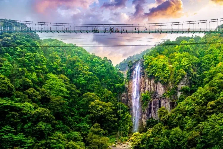 8a48717bf1d4f545d5f10ed0e93f6d68-sz_227169 8a48717bf1d4f545d5f10ed0e93f6d68-sz_227169