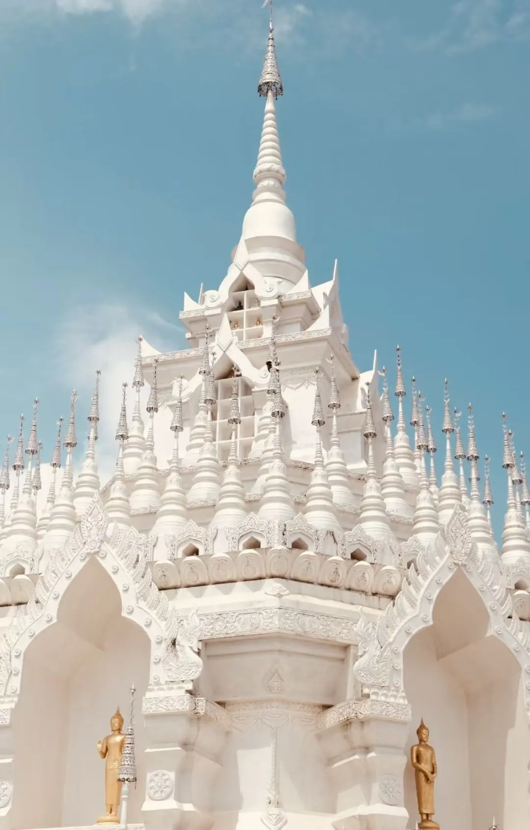 8a8113cf89b272998267aafc14c2252a-sz_179115