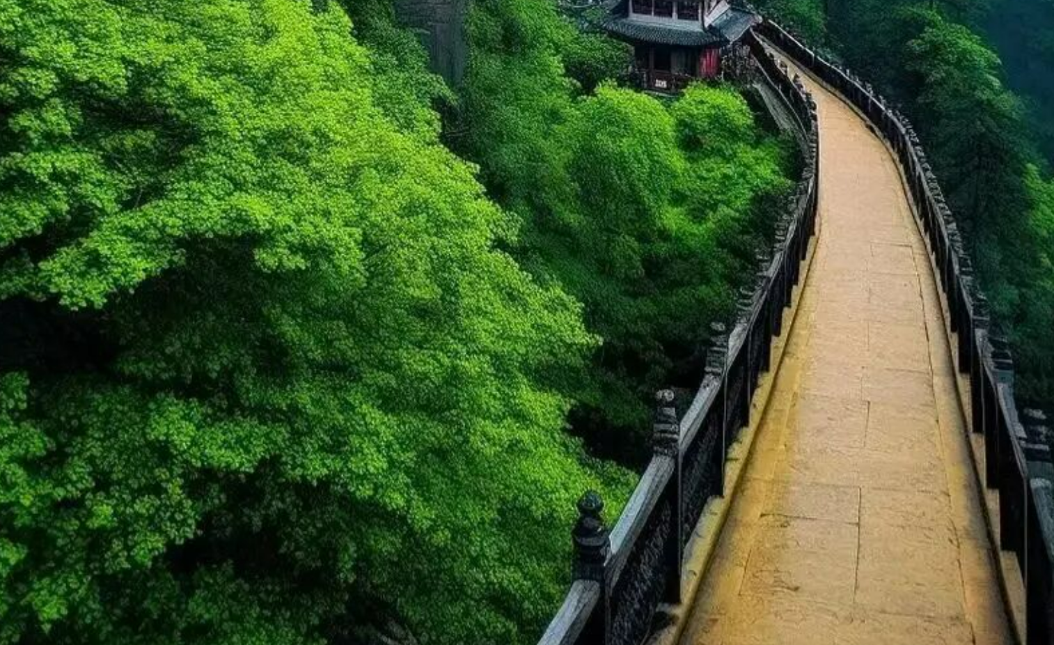 8a95335d5c2404556af81b4a1b2cb3e4