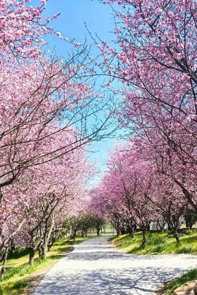 8abc147c6eecd81db6c268b16574ef87-sz_321664-1