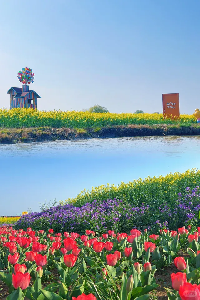 8b037c92aa99856d843c83783b9dcd1e-sz_774880